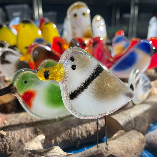 Fused Glass Art Assorted Birds