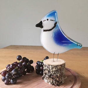 Fused Glass Art Blue_Jay_with_Grapes