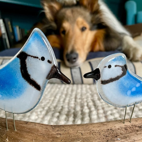 Load image into Gallery viewer, Fused Glass Art Blue Jays and Rough Collie peeking out
