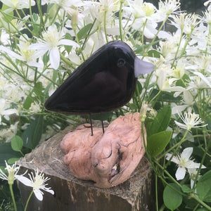 Fused Glass Art Crow Chick in Flowers