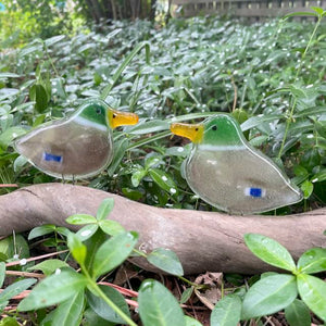 Fused Glass Art Mallard Ducks in the woods