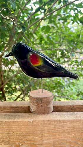 Fused Glass Art RedWing Blackbird Video