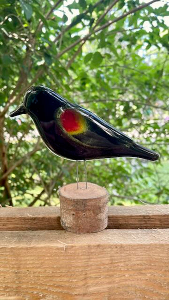 Load image into Gallery viewer, Fused Glass Art RedWing Blackbird Video
