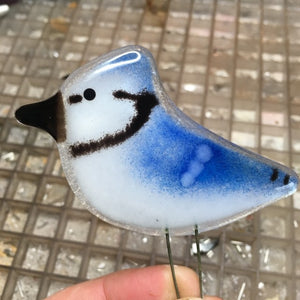 Fused Glass BlueJay Chick