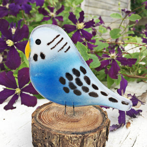 In the foreground, there is a blue and white glass Pied Budgie sitting on log perches. The background is a purple clematis.