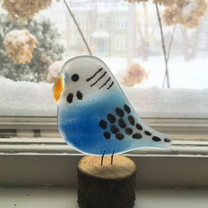 A glass blue and white pied budgie with black wing bars and face markings sits on a wood Log perch. In the background is a distant snowy scene with a large stately house.