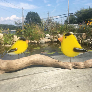 Yellow and black glass art finches on driftwood