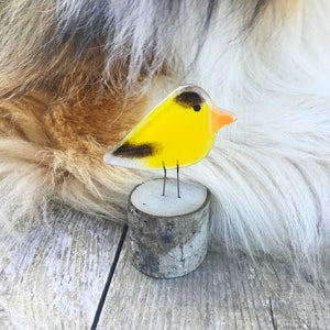 A yellow and black glass goldfinch on a log sits in front of a brown and white close up of a dog