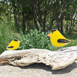 A pair of different sized glass goldfinches sit on driftwood