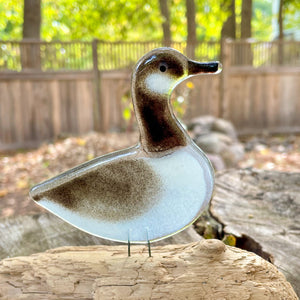Fused Glass Canada Goose perched on driftwood against a natural background