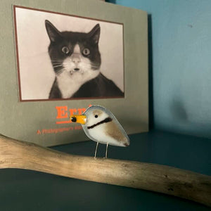 A tiny glass brown and white bird with a black neck band (a Plover), stands on a shelf next to a book featuring Ernie the cat