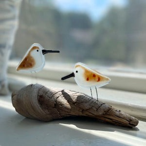 A pair of glass sandpiper chicks sit on a driftwood log. The backdrop is out of focus