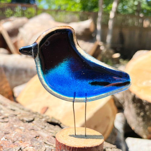 Fused Glass Black and Blue Stellers Jay Bird Ornament Perched on Log outdoors