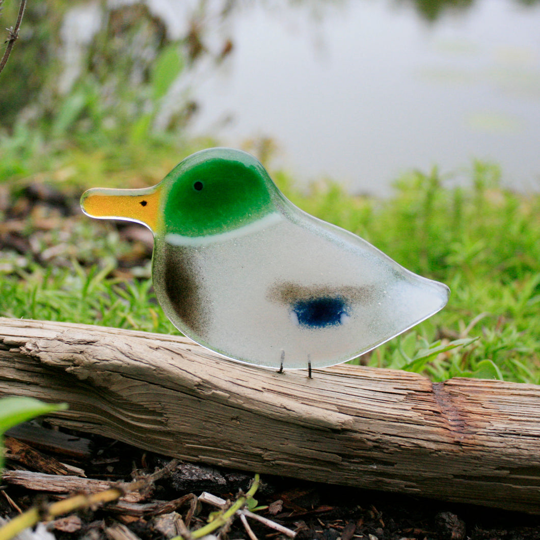 A glass mallard duck ornament sits on driftwood. In the background is a pond.