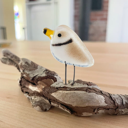 Brown and White Fused Glass Pocket size Piping Plover perched on driftwood, on a table