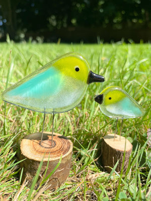 Two colourful equal and lemongrass glass birds are sitting on logs in front of a gassy scene