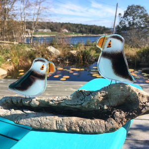 FUSED GLASS PUFFIN CHICK AND ADULT BY POND