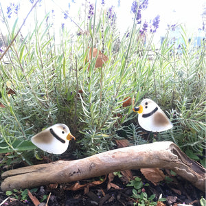 Perched Piping Plover made from fused glass, standing in front of purple lavender. The birds are brown and white with a black neck band.