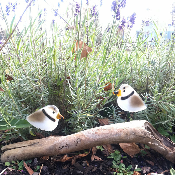 Load image into Gallery viewer, Perched Piping Plover made from fused glass, standing in front of purple lavender. The birds are brown and white with a black neck band.
