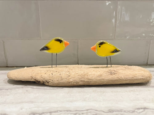 A pair of fused glass pocket yellow goldfinches, perched on driftwood. Kitchen Decor.