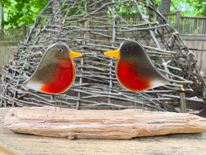 Pair of red and brown fused glass adult robin perched on driftwood in nature