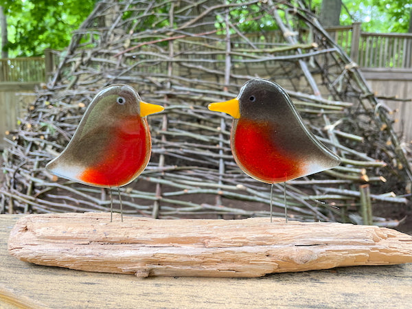 Load image into Gallery viewer, Pair of red and brown fused glass adult robin perched on driftwood in nature
