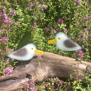 Pair of grey, white and black fused glass seagull chicks perched on driftwood against a backdrop of purple flowers.
