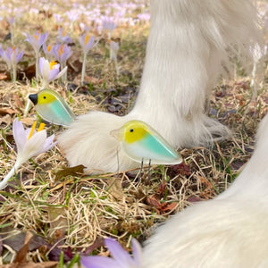 Handcrafted Pastel Glass Birds with Dog Legs