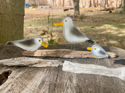 Three perched glass seagull sculptures on a wooden surface with a natural background
