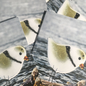 A close up of multiple bird themed greetings cards featuring handmade piping plover birds