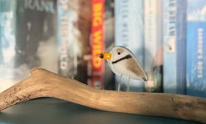 Piping Ploer Fused Glass Bird on Driftwood in front of sailing books