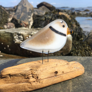 A brown and white glass bird in the form of a Piping Plover, sits on a driftwood perch. In the background is a rocky beach scene.