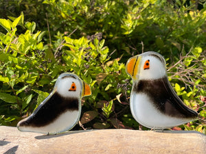 Fused Glass Puffin Adult-Chick Pair in Nature