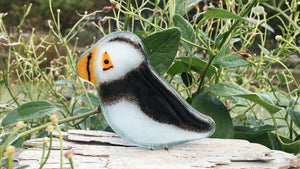 A black and white fused glass puffin with an orange beak, sits on driftwood. The puffin is in front of some green foliage.