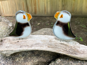 Fused Glass Puffin Pair on Driftwood