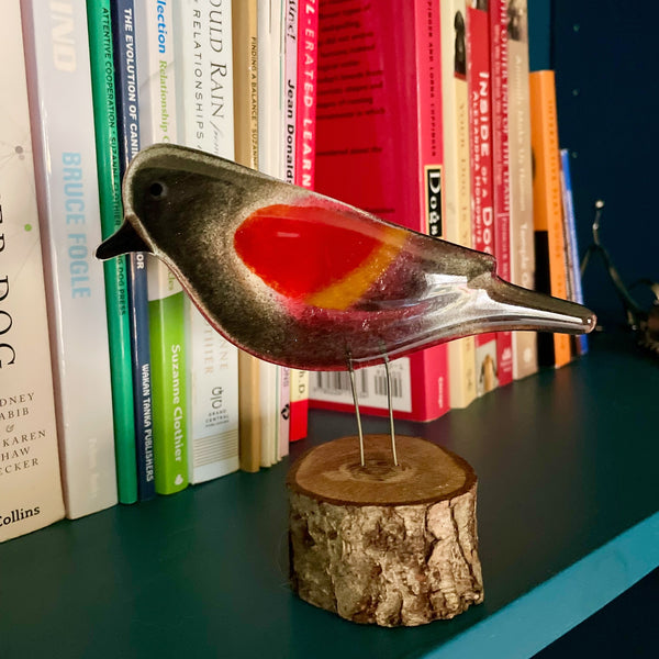 Load image into Gallery viewer, Glass red winged blackbird perches on a shelf in front of a library full of dog books
