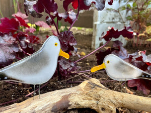 A pair of fused glass seagull bird ornaments are perched on driftwood in front of some purple autumn flowers.