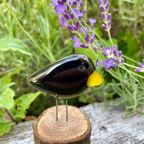 black and gold fused glass pocket blackbird on log in front of lavender flowers