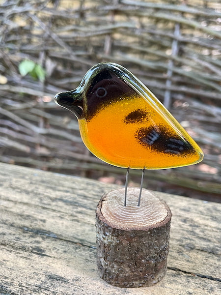 Load image into Gallery viewer, fused glass orange and black baltimore oriole chick perched on a log slice, in front of branches
