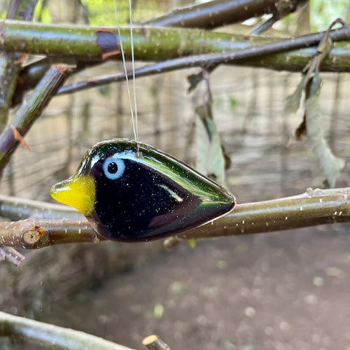A black and yellow fused glass pocket blackbird hangs by clear thread against a branch