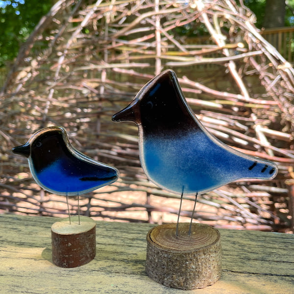Load image into Gallery viewer, two blue and black fused glass steller jay birds of different sizes are perched on logs outdoors.
