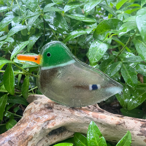 Load image into Gallery viewer, A duck-shaped glass ornament or candle holder with a green head, orange beak, brown body, and blue-and-white patch, resting on a piece of driftwood surrounded by wet green leaves.
