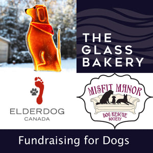 Link to Fundraising for Dogs, Fused Glass with a Donation ElderDog Canada and Misfit Manor