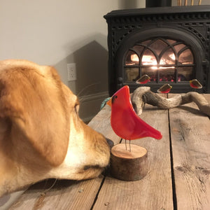 a cute Labrador gently touches a glass cardinal on a table. in the background is a lit fireplace