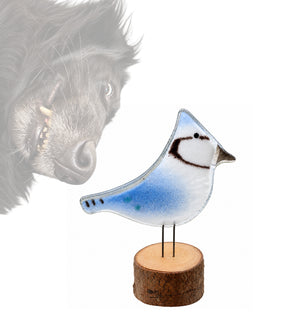 Charity Glass Misfit Blue Jays