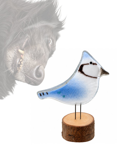 Charger l'image dans la galerie, Charity Glass Misfit Blue Jays
