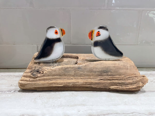 A pair of black and white glss puffin chicks, perched on driftwood - kitchen decor