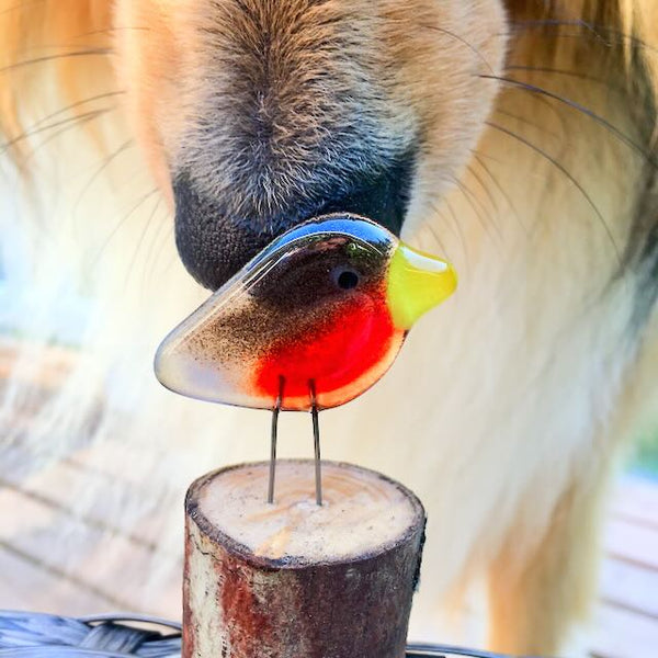 Load image into Gallery viewer, fused glass red and brown robin bird perched on a log, in front of a dog&#39;s nose
