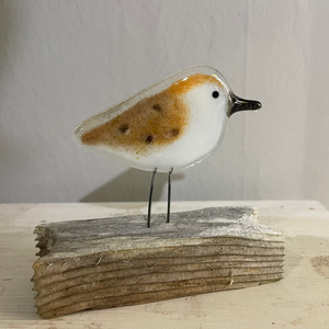 sandpiper_chick_on_driftwood