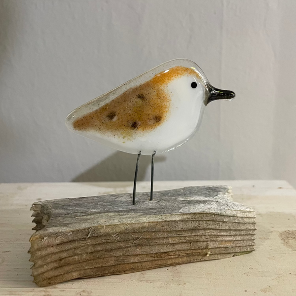Charger l'image dans la galerie, sandpiper_chick_on_driftwood
